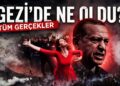 Gezi Parkı ve Erdoğan